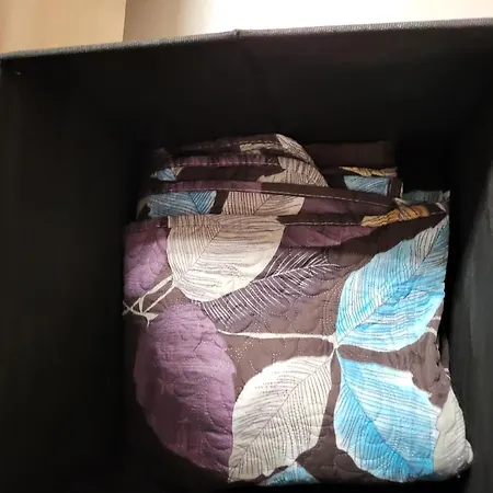 Malaspina Cico * Palermo