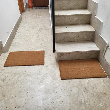 Malaspina Cico Daire *