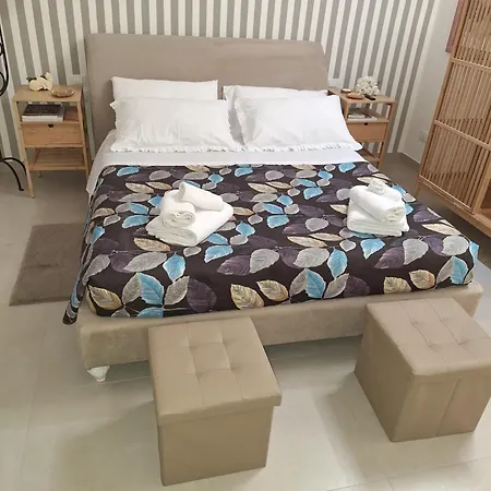 Malaspina Cico Daire